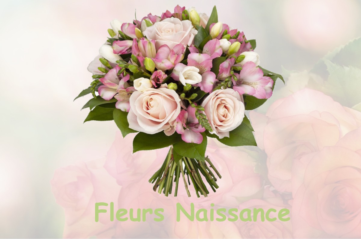 fleurs naissance ENSUES-LA-REDONNE