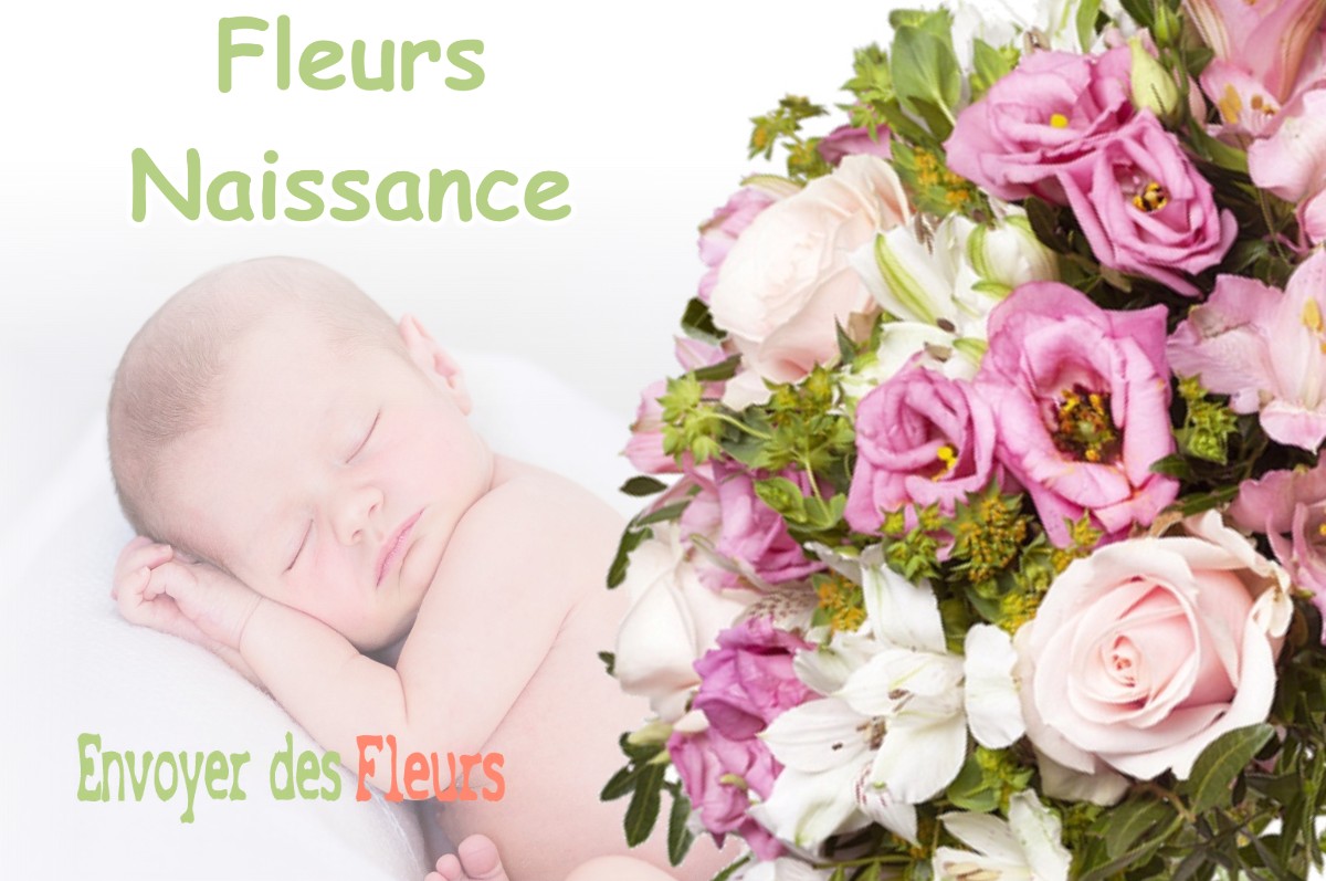 lIVRAISON FLEURS NAISSANCE à ENSUES-LA-REDONNE